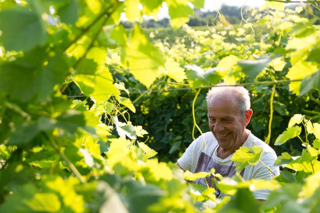 Villa Prosecco Tarzo Bagian luar foto